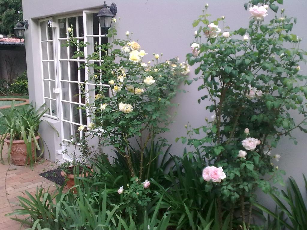 Rosebank Lodge Guesthouse By Claires Γιοχάνεσμπουργκ Εξωτερικό φωτογραφία