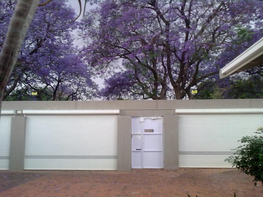 Rosebank Lodge Guesthouse By Claires Γιοχάνεσμπουργκ Εξωτερικό φωτογραφία