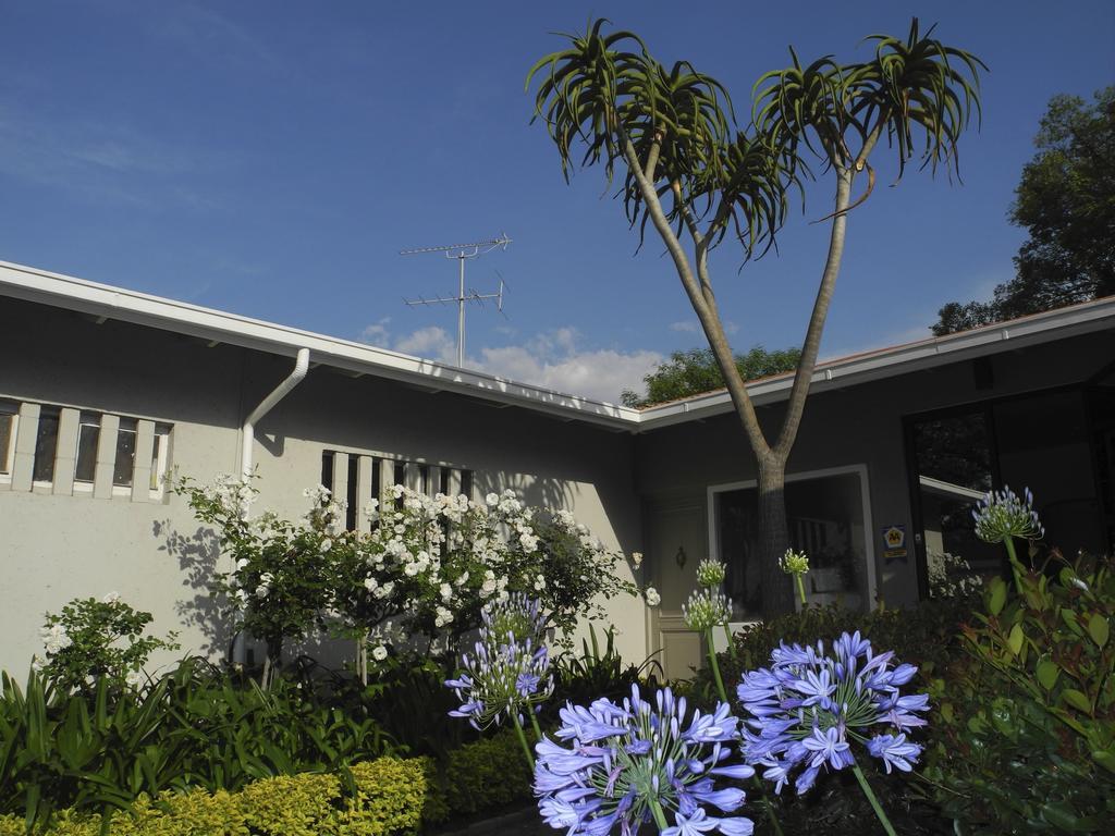 Rosebank Lodge Guesthouse By Claires Γιοχάνεσμπουργκ Εξωτερικό φωτογραφία
