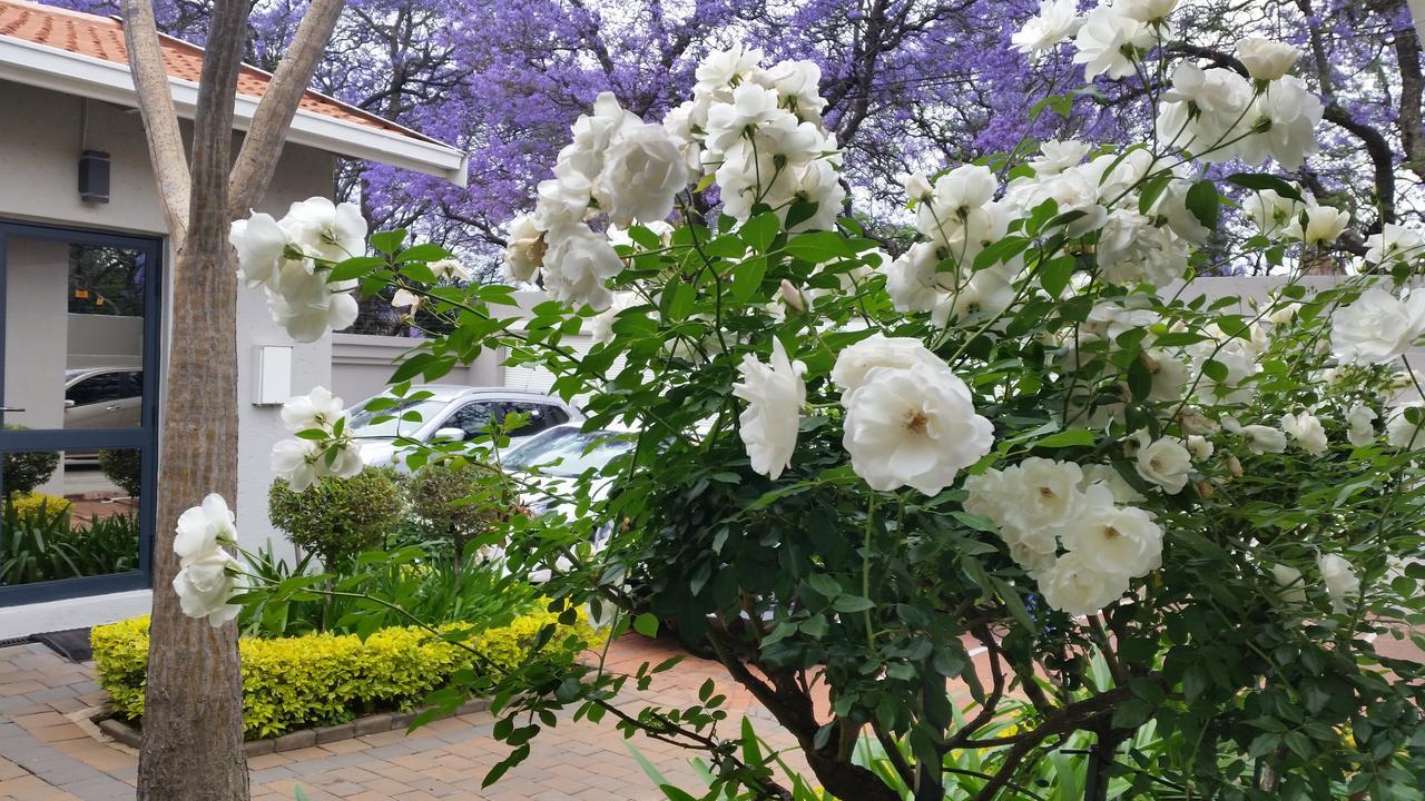 Rosebank Lodge Guesthouse By Claires Γιοχάνεσμπουργκ Εξωτερικό φωτογραφία